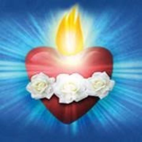 Flame of Love – of the Immaculate Heart of Mary